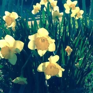 Meet your Posher, Renee